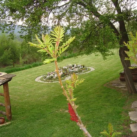 Tsvetina Casa de hóspedes