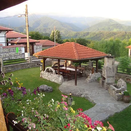 Tsvetina 2*