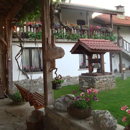 Tsvetina 2*