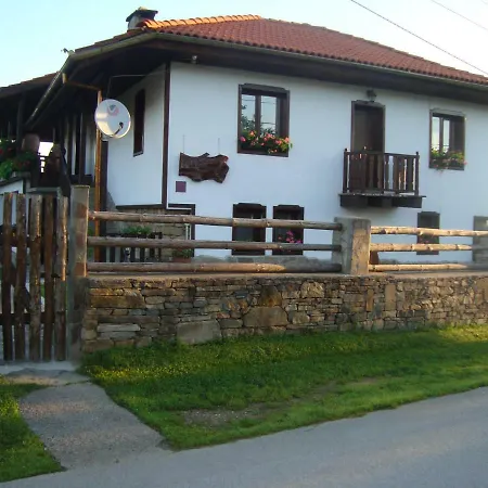 Tsvetina