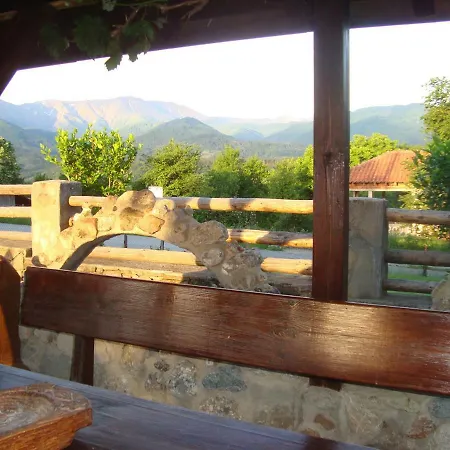 Tsvetina Guest house 2*
