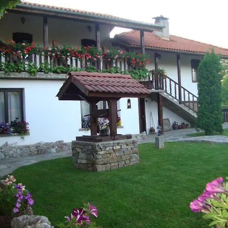 Tsvetina Guest house 2*